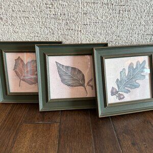 Set of small framed wall art - pictures of leaves